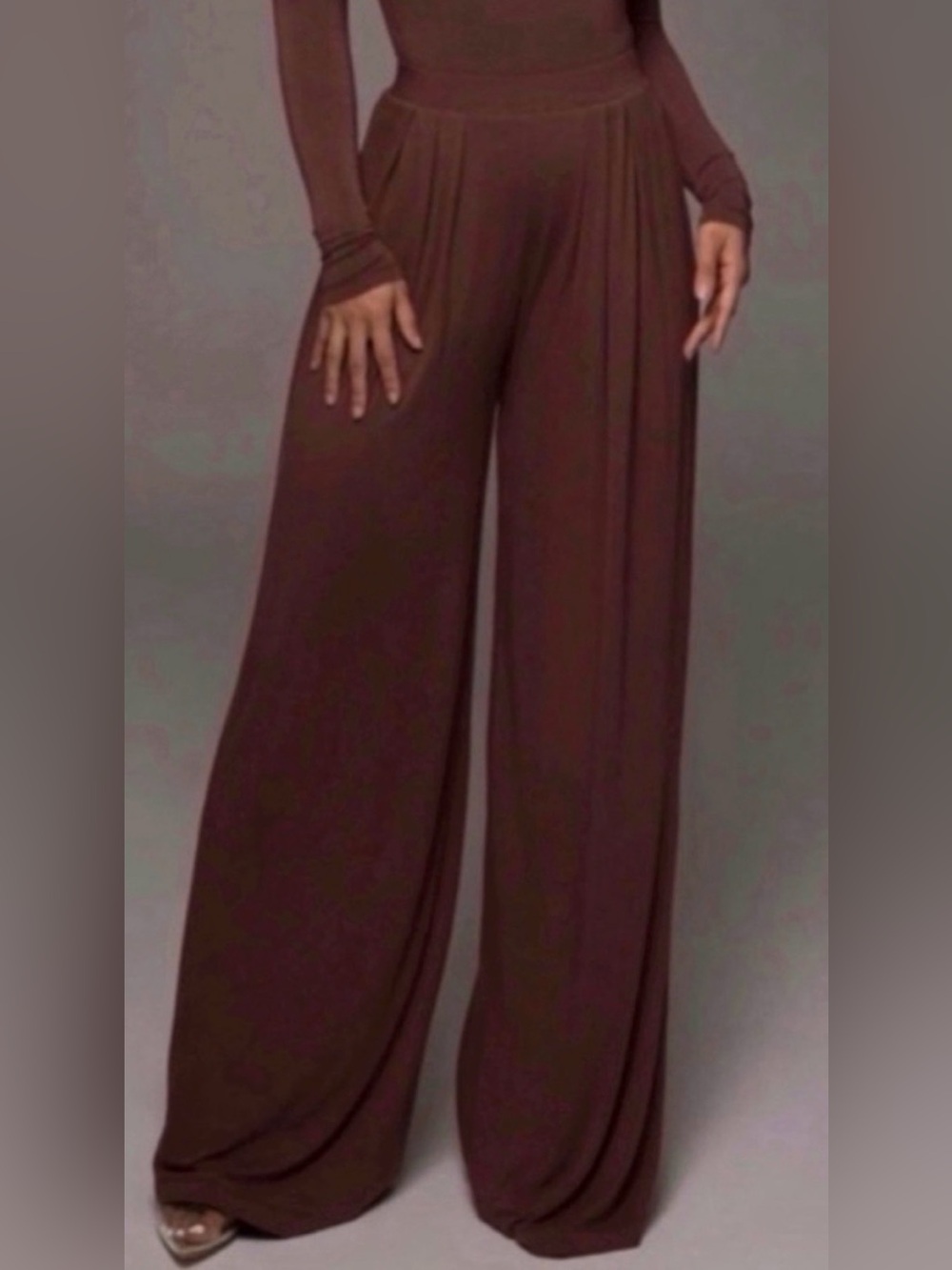 Women’s Dark Brown Self-Double Layer Wide Leg Pants Medium